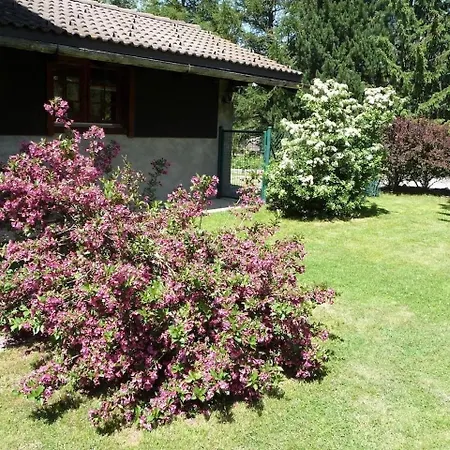 Chalet, Dil Arom, Geschlossener Garten 펜션 Orsières